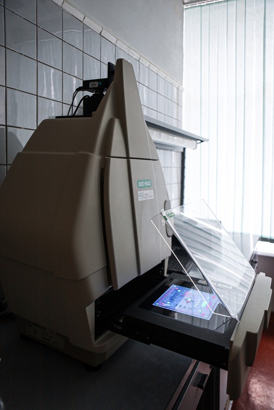 GelDoc XR Plus