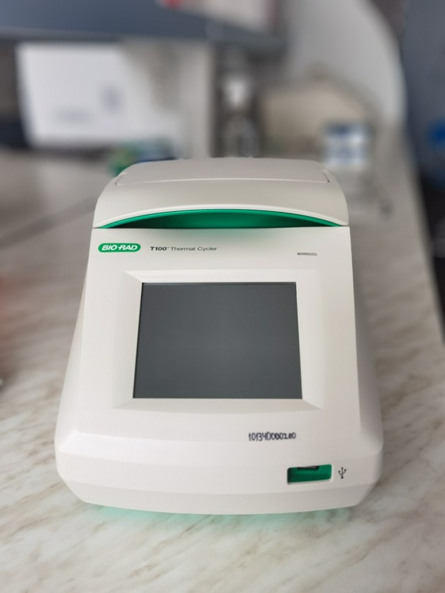 T100 Thermal Cycler